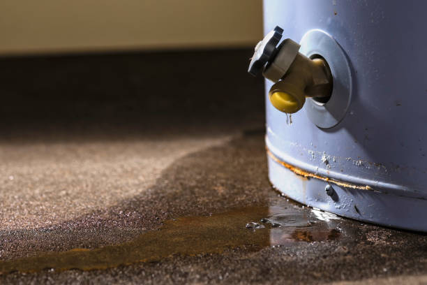 Best Basement water damage restoration  in Oakleaf Plantation, FL