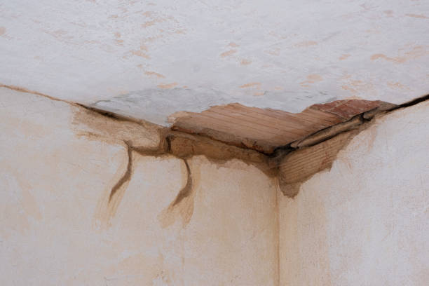 Best Water damage restoration process  in Oakleaf Plantation, FL