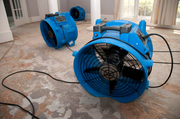 Oakleaf Plantation, FL Water damage restoration Pros